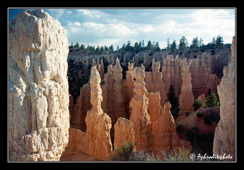 Brice canyon NP